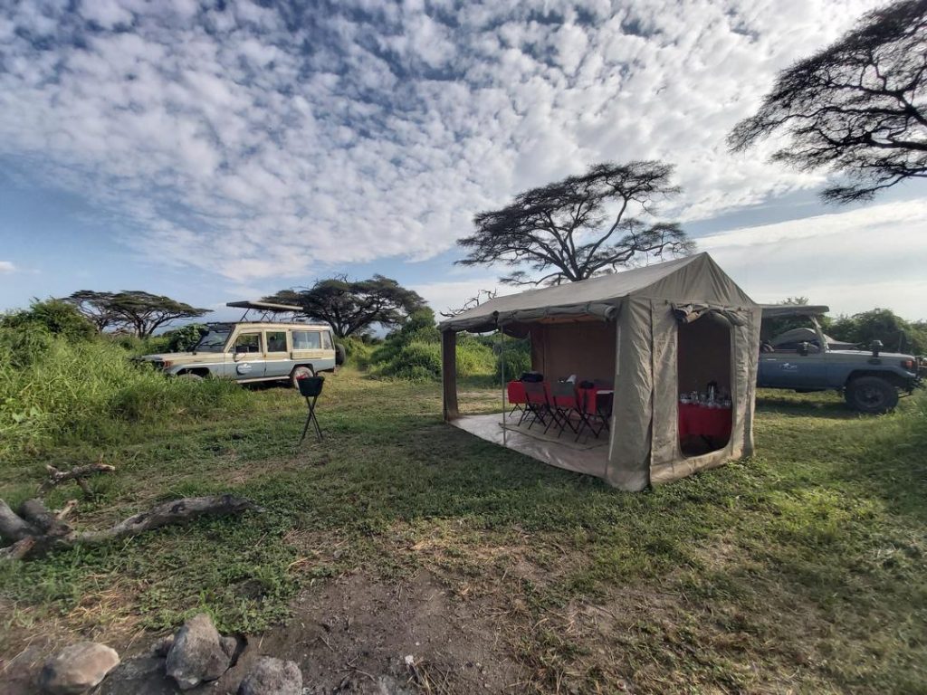 WhatsApp Image 2025-12-04 at 8.21.08 PM